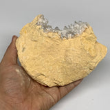 1.48 lbs, 5.8"x3.7"x2.1", Natural Calcite Geode Mineral Specimens @Morocco, B111
