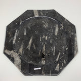 2pcs set, 12" Large Octagon Shape Fossils Orthoceras Plates Black @Morocco, F254