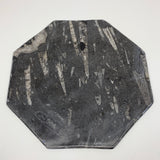 2pcs set, 12" Large Octagon Shape Fossils Orthoceras Plates Black @Morocco, F254