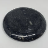 898g, 8.25" Black Round Fossils Orthoceras Ammonite Bowl Ring @Morocco, F296