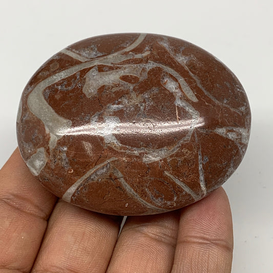 124.9g, 2.5"x2"x1", Natural Untreated Red Shell Fossils Oval Palms-tone, F1258