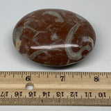 129g, 2.6"x2.1"x1", Natural Untreated Red Shell Fossils Oval Palms-tone, F1259