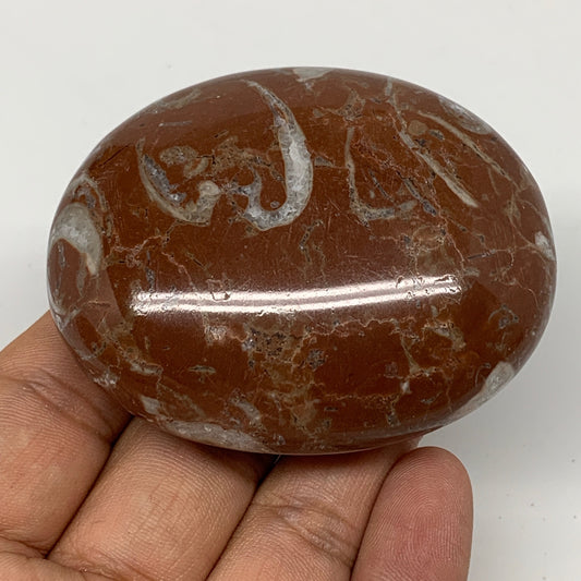 128.3g, 2.6"x2"x1", Natural Untreated Red Shell Fossils Oval Palms-tone, F1266