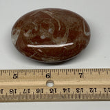 128.3g, 2.6"x2"x1", Natural Untreated Red Shell Fossils Oval Palms-tone, F1266