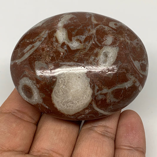 128.5g, 2.6"x2.1"x1.1", Natural Untreated Red Shell Fossils Oval Palms-tone, F12