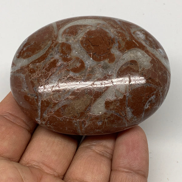 133.9g, 2.6"x2.1"x1.1", Natural Untreated Red Shell Fossils Oval Palms-tone, F12