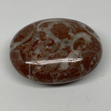 133.9g, 2.6"x2.1"x1.1", Natural Untreated Red Shell Fossils Oval Palms-tone, F12