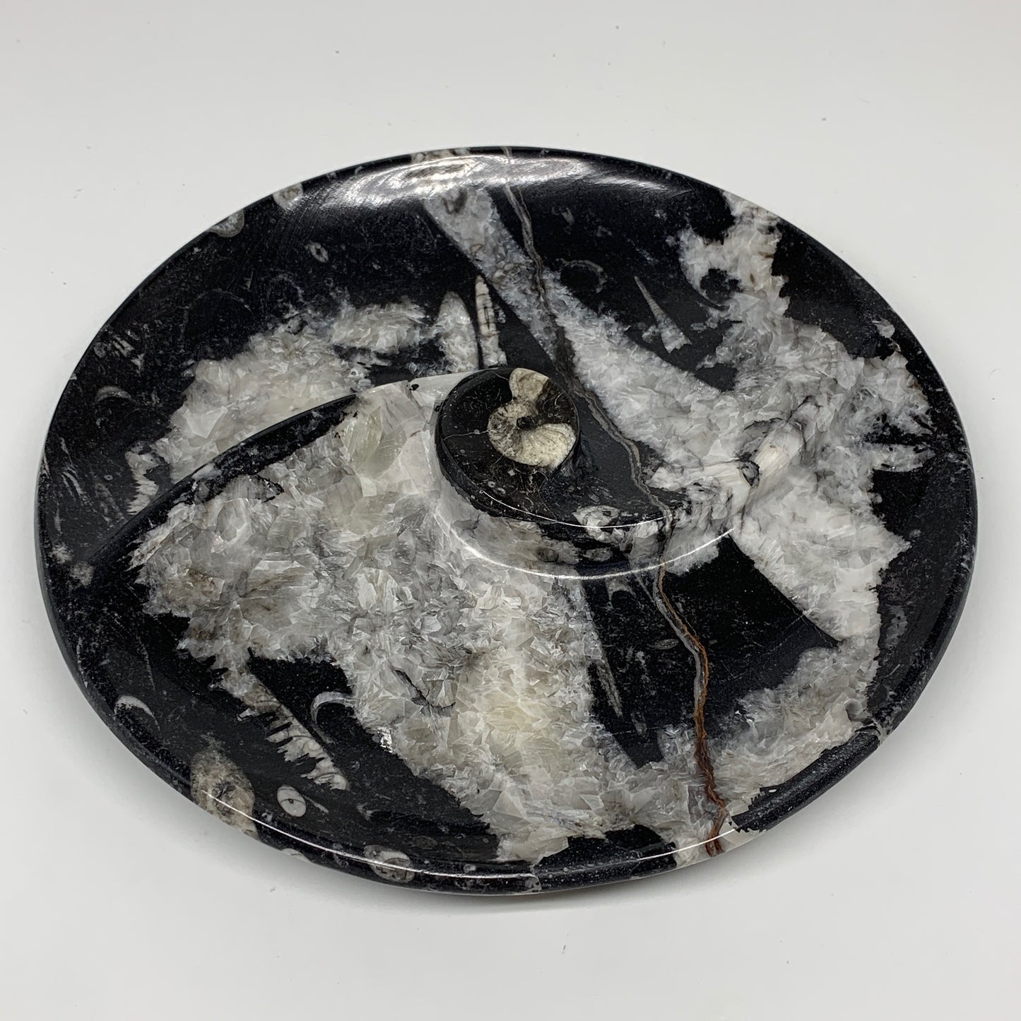 958g, 8.25" Black Round Fossils Orthoceras Ammonite Bowl Ring @Morocco, F306