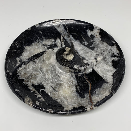 958g, 8.25" Black Round Fossils Orthoceras Ammonite Bowl Ring @Morocco, F306
