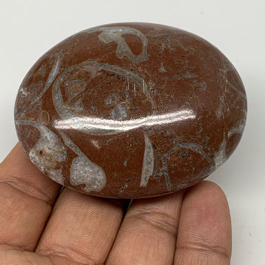 121.6g, 2.6"x2"x1", Natural Untreated Red Shell Fossils Oval Palms-tone, F1270