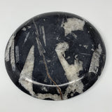 958g, 8.25" Black Round Fossils Orthoceras Ammonite Bowl Ring @Morocco, F306