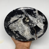 958g, 8.25" Black Round Fossils Orthoceras Ammonite Bowl Ring @Morocco, F306