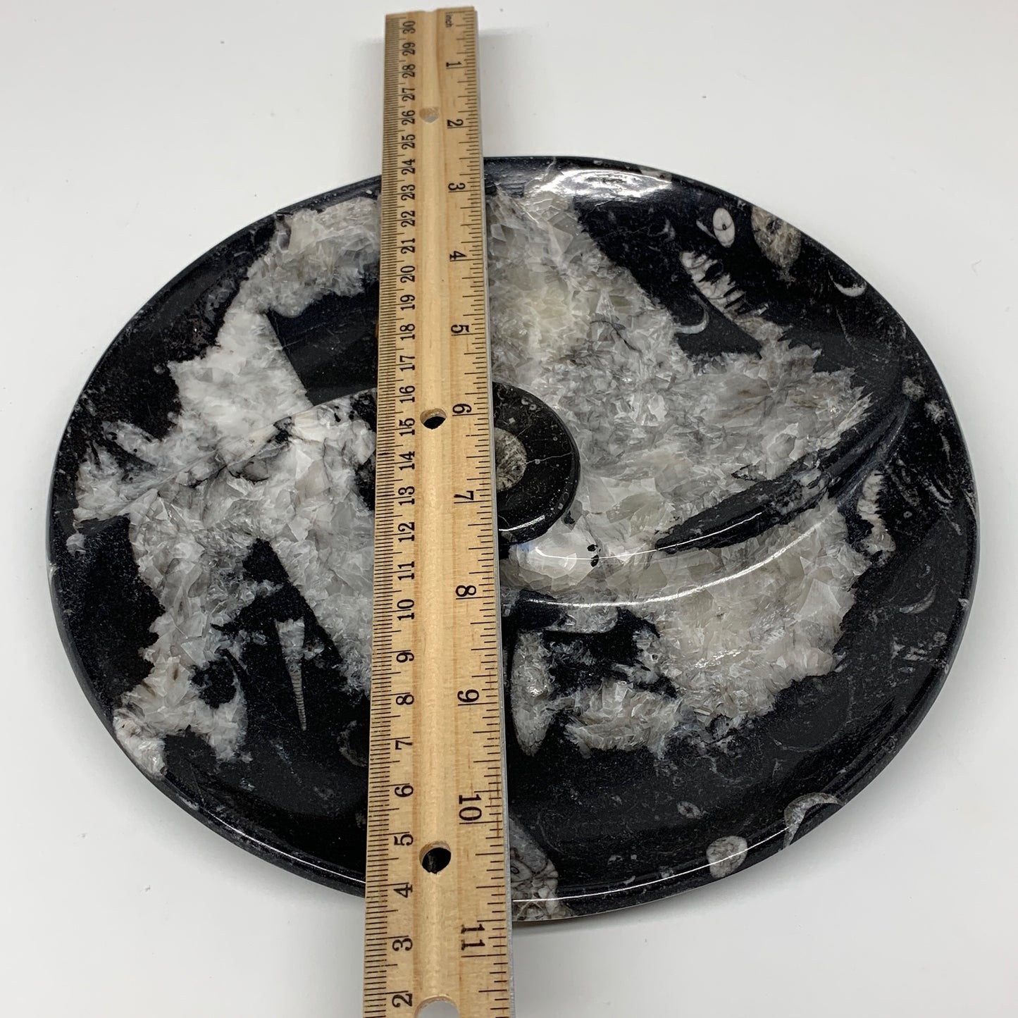 958g, 8.25" Black Round Fossils Orthoceras Ammonite Bowl Ring @Morocco, F306