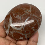132.7g, 2.5"x2.1"x1", Natural Untreated Red Shell Fossils Oval Palms-tone, F1271