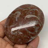 132.2g, 2.6"x2"x1.1", Natural Untreated Red Shell Fossils Oval Palms-tone, F1272