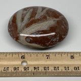 132.2g, 2.6"x2"x1.1", Natural Untreated Red Shell Fossils Oval Palms-tone, F1272