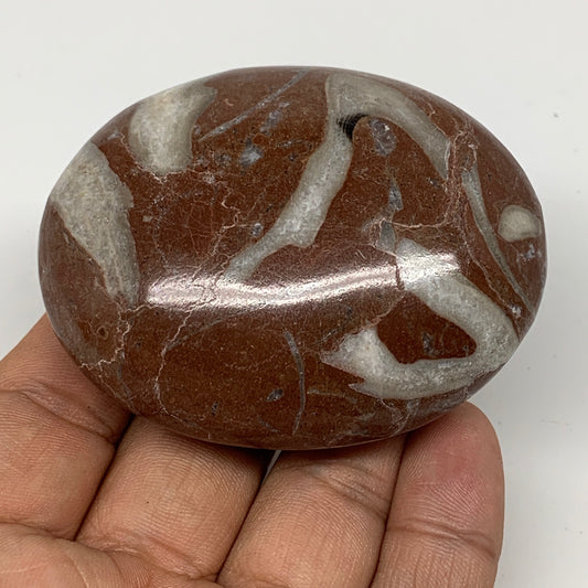 133.5g, 2.6"x2.1"x1.1", Natural Untreated Red Shell Fossils Oval Palms-tone, F12