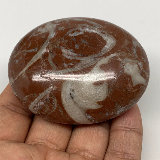 132.9g, 2.6"x2"x1.1", Natural Untreated Red Shell Fossils Oval Palms-tone, F1275