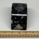 602g, 4.6" x 2.3" x 1.6" Moon Shape Fossils Orthoceras Candle Holder, B8677