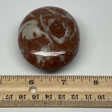 132.9g, 2.6"x2"x1.1", Natural Untreated Red Shell Fossils Oval Palms-tone, F1275