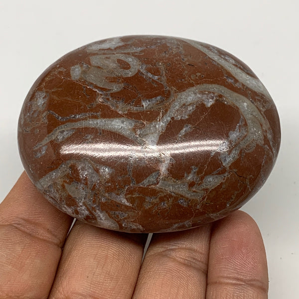 136.2g, 2.6"x2.1"x1.1", Natural Untreated Red Shell Fossils Oval Palms-tone, F12