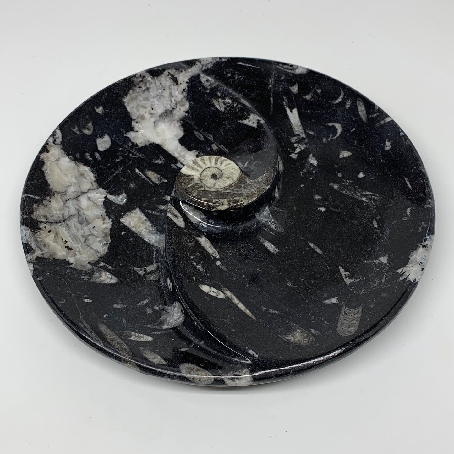 894g, 8.25" Black Round Fossils Orthoceras Ammonite Bowl Ring @Morocco, F312