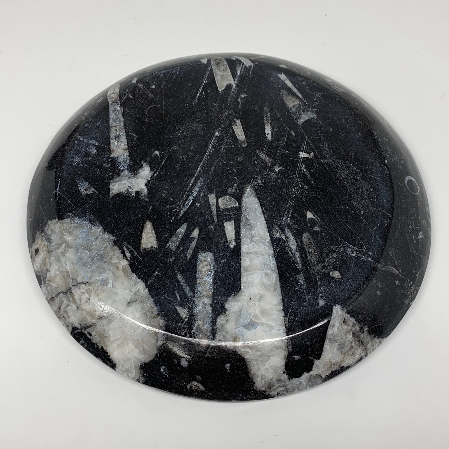 894g, 8.25" Black Round Fossils Orthoceras Ammonite Bowl Ring @Morocco, F312