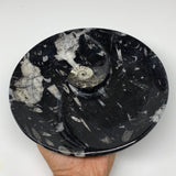 894g, 8.25" Black Round Fossils Orthoceras Ammonite Bowl Ring @Morocco, F312