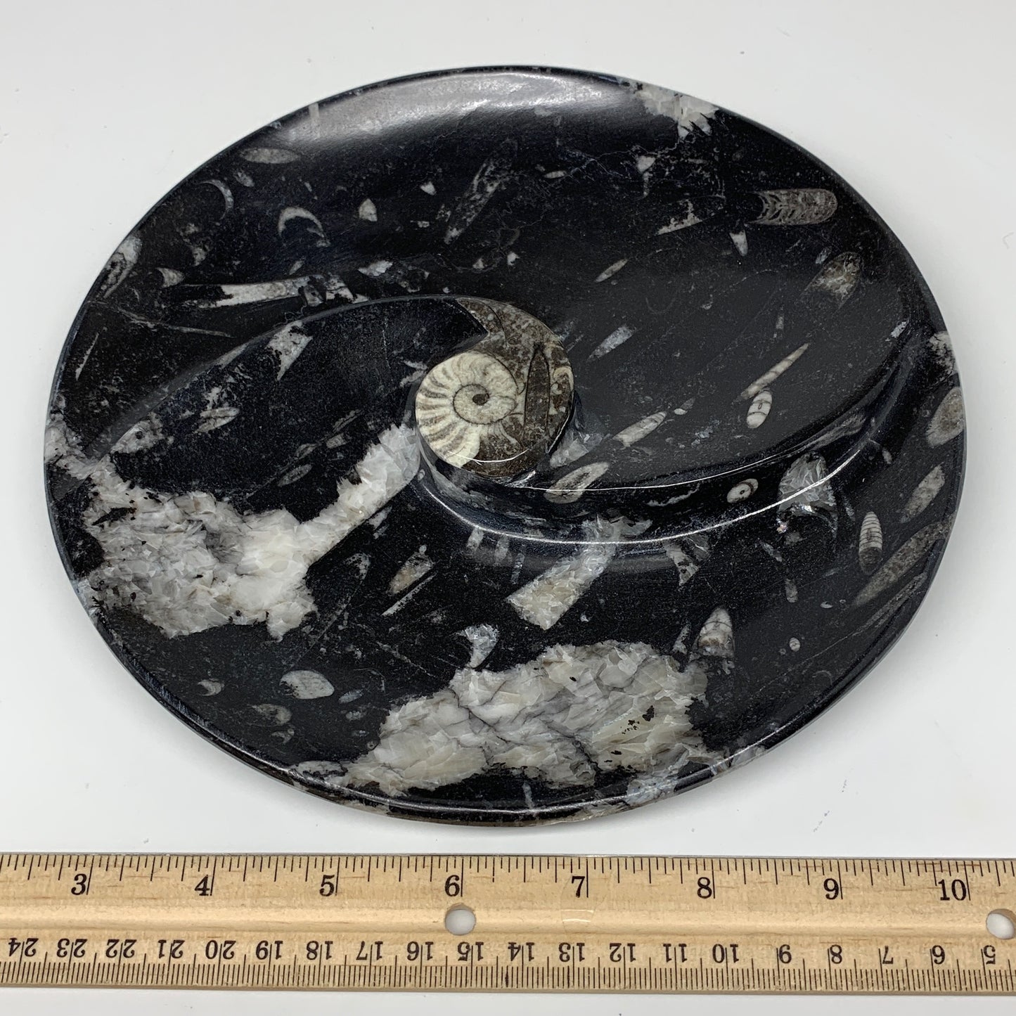 894g, 8.25" Black Round Fossils Orthoceras Ammonite Bowl Ring @Morocco, F312