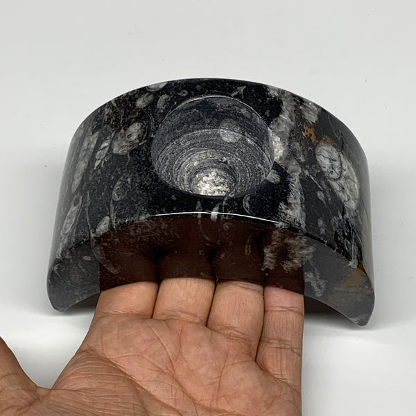 648g, 4.6" x 2.3" x 1.6" Moon Shape Fossils Orthoceras Candle Holder, B8680