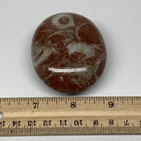 132.5g, 2.6"x2.1"x1.1", Natural Untreated Red Shell Fossils Oval Palms-tone, F12