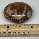 131.8g, 2.6"x2.1"x1.1", Natural Untreated Red Shell Fossils Oval Palms-tone, F12