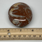 131.8g, 2.6"x2.1"x1.1", Natural Untreated Red Shell Fossils Oval Palms-tone, F12