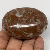 124.7g, 2.6"x1.9"x1.1", Natural Untreated Red Shell Fossils Oval Palms-tone, F12