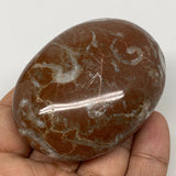 124.7g, 2.6"x1.9"x1.1", Natural Untreated Red Shell Fossils Oval Palms-tone, F12