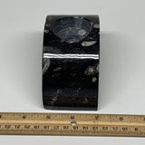 646g, 4.6" x 2.3" x 1.6" Moon Shape Fossils Orthoceras Candle Holder, B8682