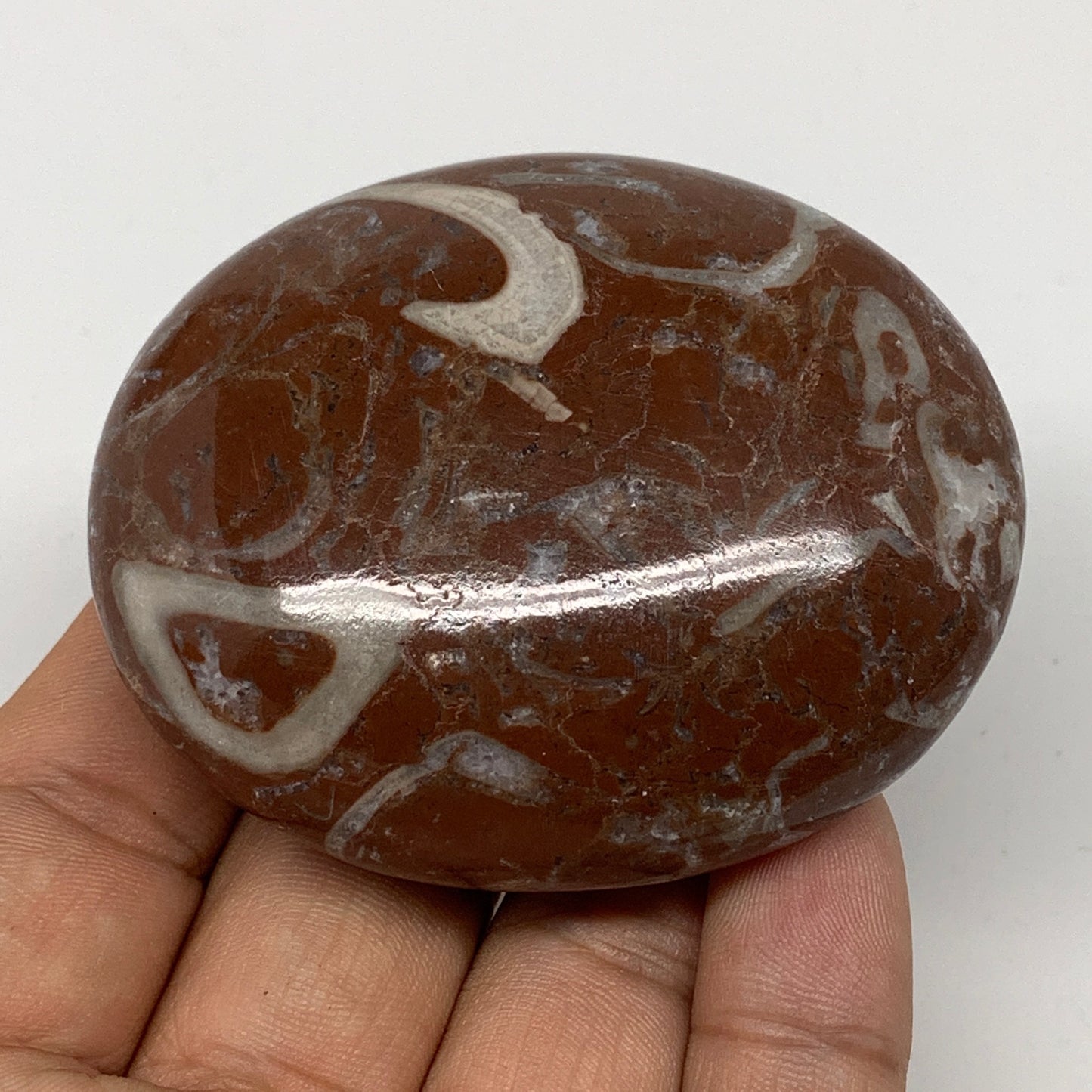 130.4g, 2.6"x2.1"x1", Natural Untreated Red Shell Fossils Oval Palms-tone, F1283