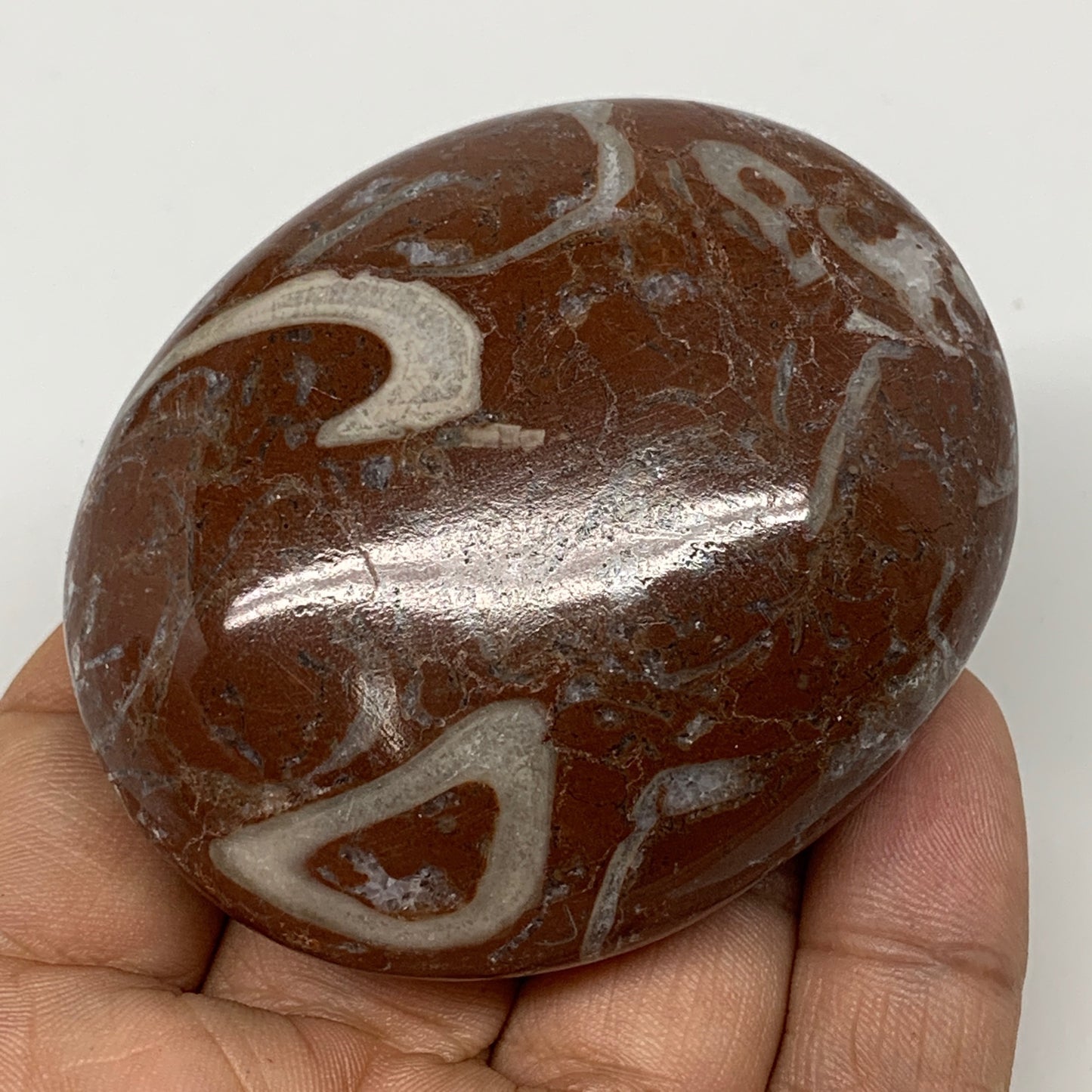 130.4g, 2.6"x2.1"x1", Natural Untreated Red Shell Fossils Oval Palms-tone, F1283