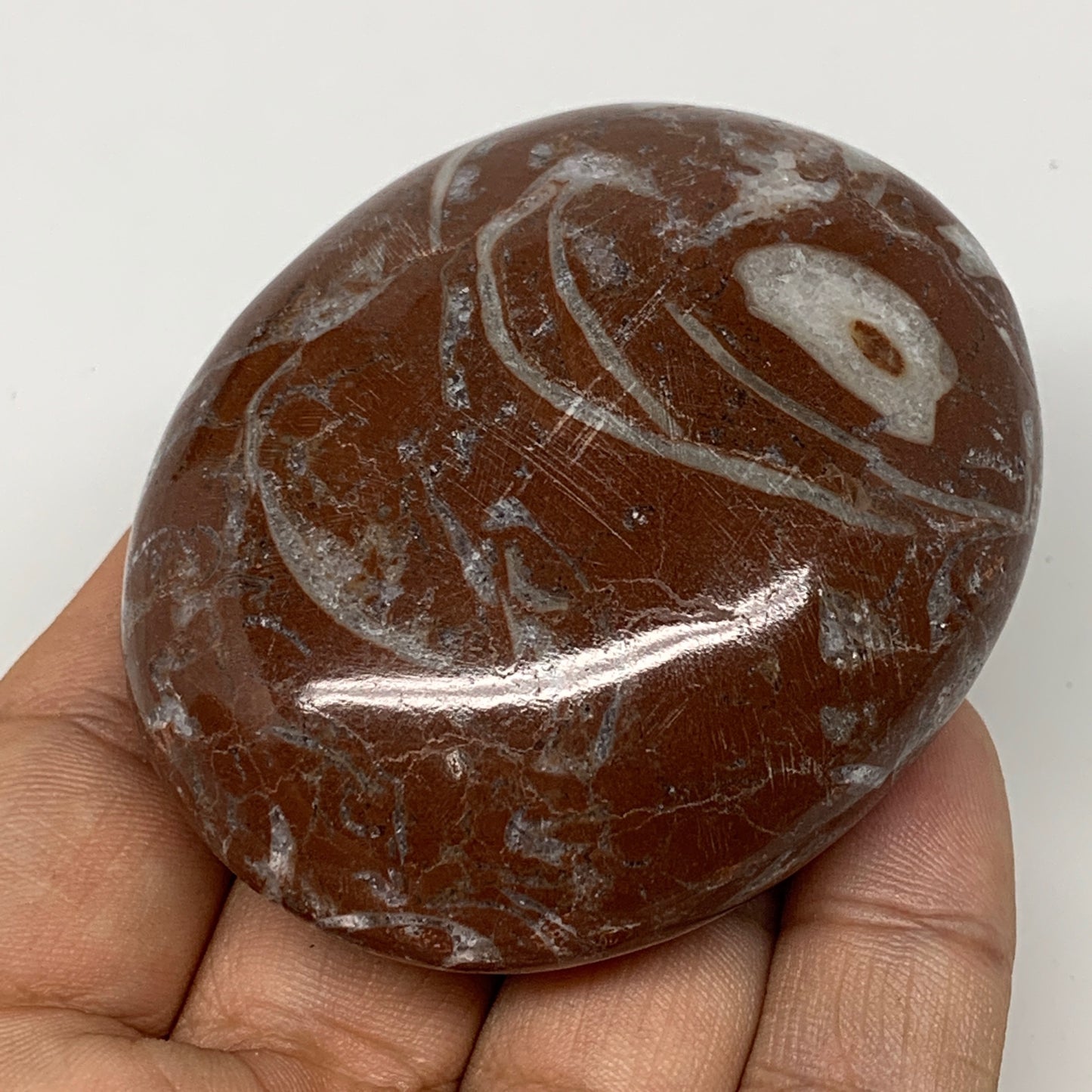 130.4g, 2.6"x2.1"x1", Natural Untreated Red Shell Fossils Oval Palms-tone, F1283