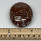 130.4g, 2.6"x2.1"x1", Natural Untreated Red Shell Fossils Oval Palms-tone, F1283