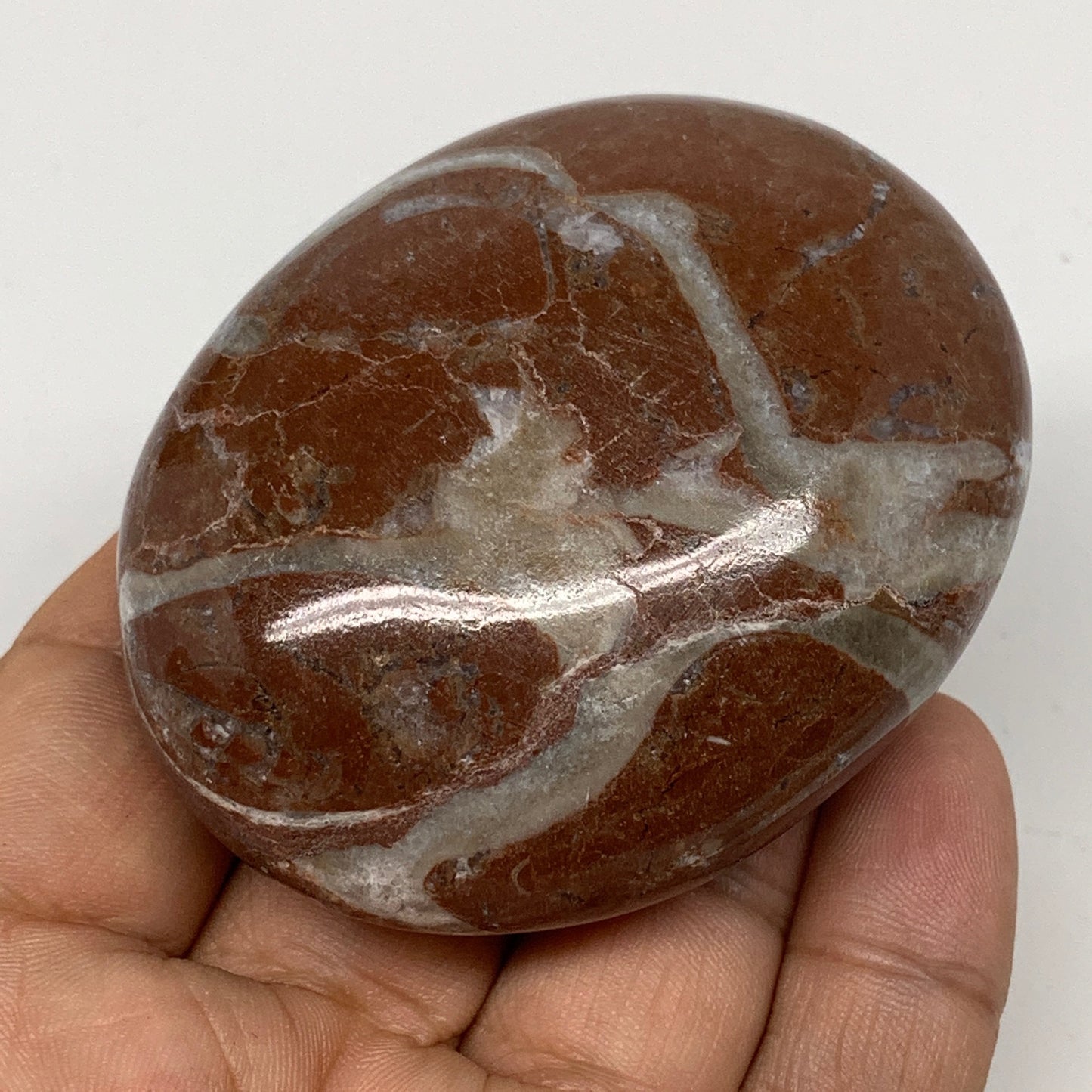 131g, 2.6"x2"x1", Natural Untreated Red Shell Fossils Oval Palms-tone, F1285