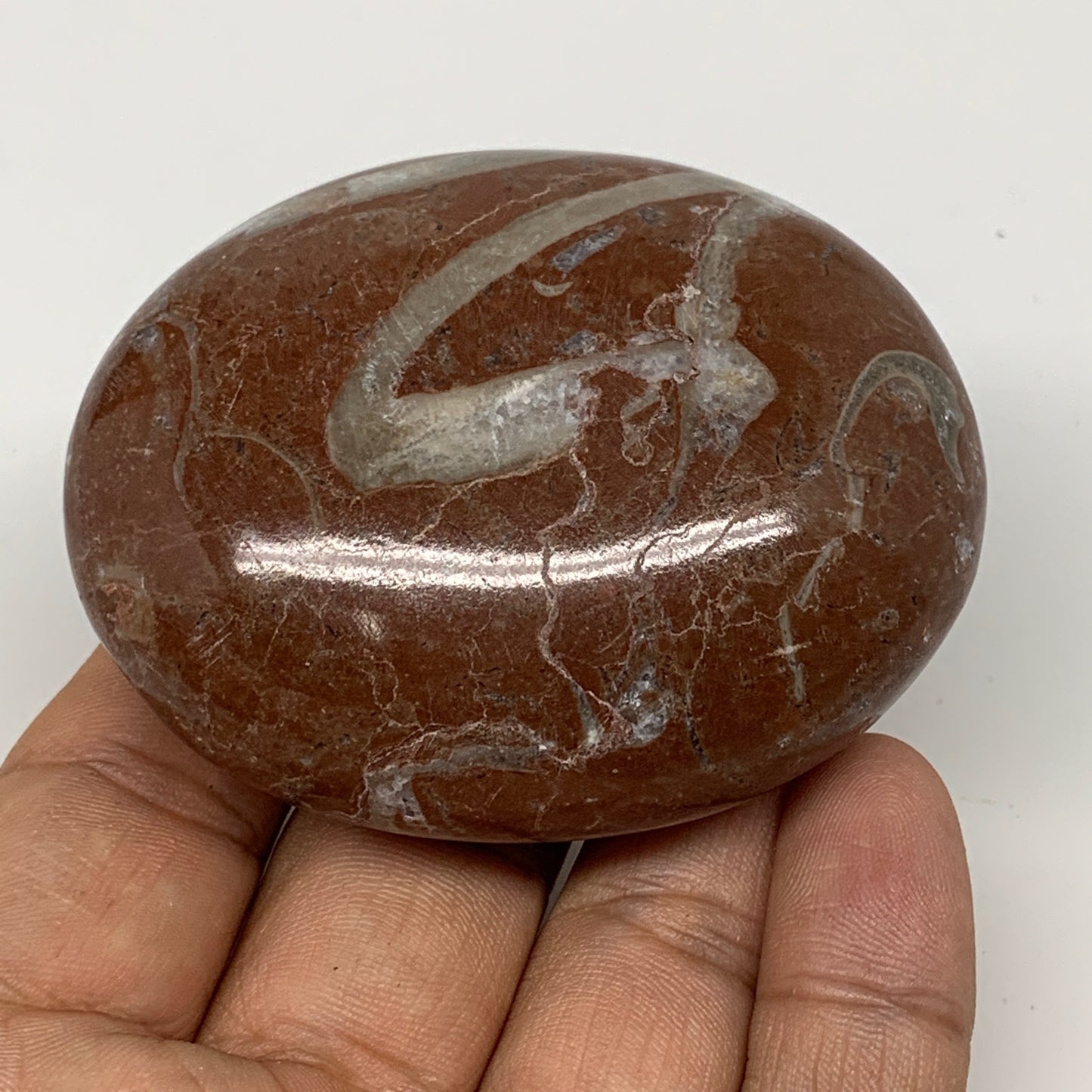 131g, 2.6"x2"x1", Natural Untreated Red Shell Fossils Oval Palms-tone, F1285