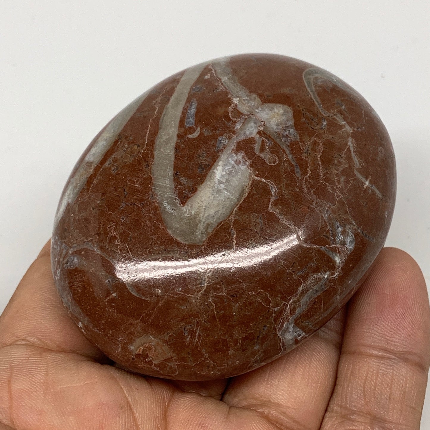 131g, 2.6"x2"x1", Natural Untreated Red Shell Fossils Oval Palms-tone, F1285