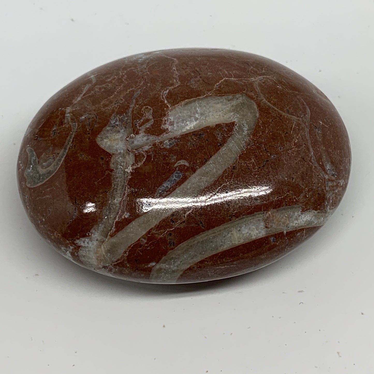 131g, 2.6"x2"x1", Natural Untreated Red Shell Fossils Oval Palms-tone, F1285