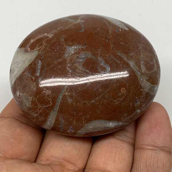 111.7g, 2.4"x2"x1", Natural Untreated Red Shell Fossils Oval Palms-tone, F1286