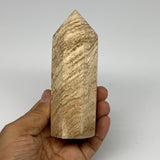 331.4g, 4.6"x1.6" Natural Chocolate Calcite Tower Point Obelisk Crystal, B23298