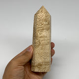 346.2g, 5.6"x1.6" Natural Chocolate Calcite Tower Point Obelisk Crystal, B23299
