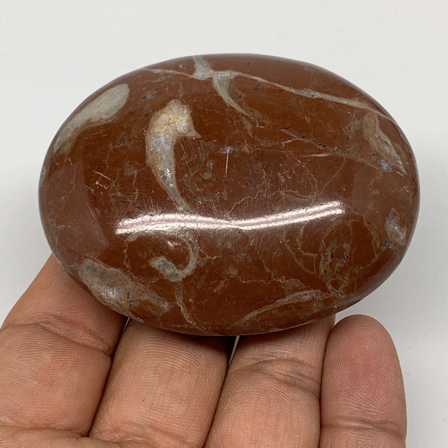 126.5g, 2.6"x2"x1", Natural Untreated Red Shell Fossils Oval Palms-tone, F1291