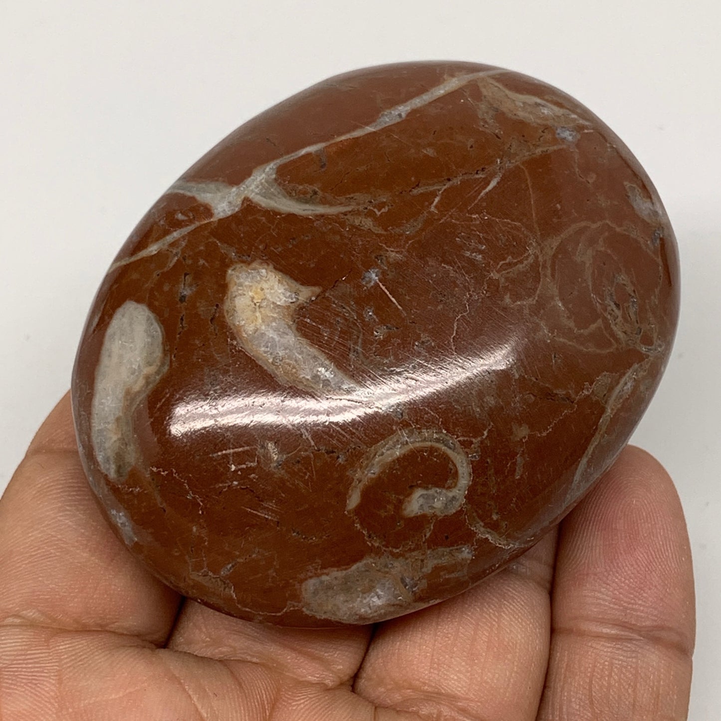 126.5g, 2.6"x2"x1", Natural Untreated Red Shell Fossils Oval Palms-tone, F1291