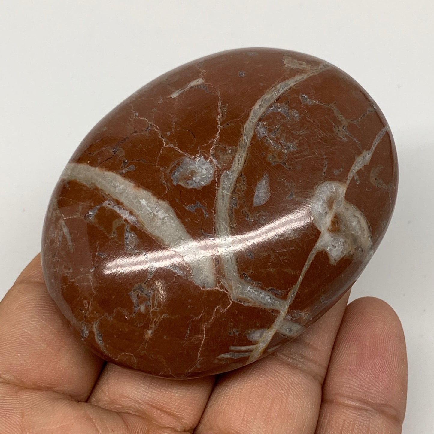 126.5g, 2.6"x2"x1", Natural Untreated Red Shell Fossils Oval Palms-tone, F1291